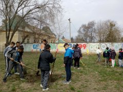 IMG_20190319_103249.jpg
